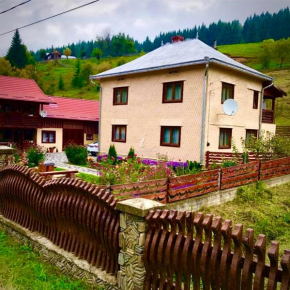 Casa Agroturistica Tarancuta din Vatra Moldovitei